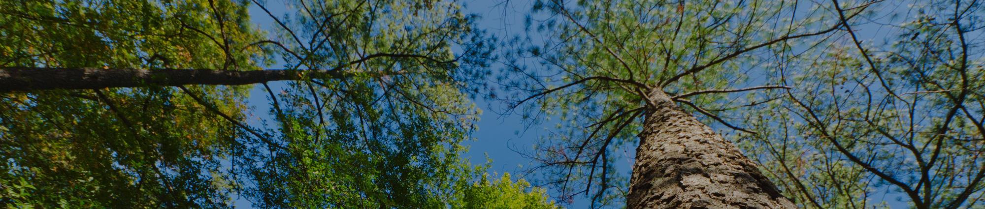 Background image hero