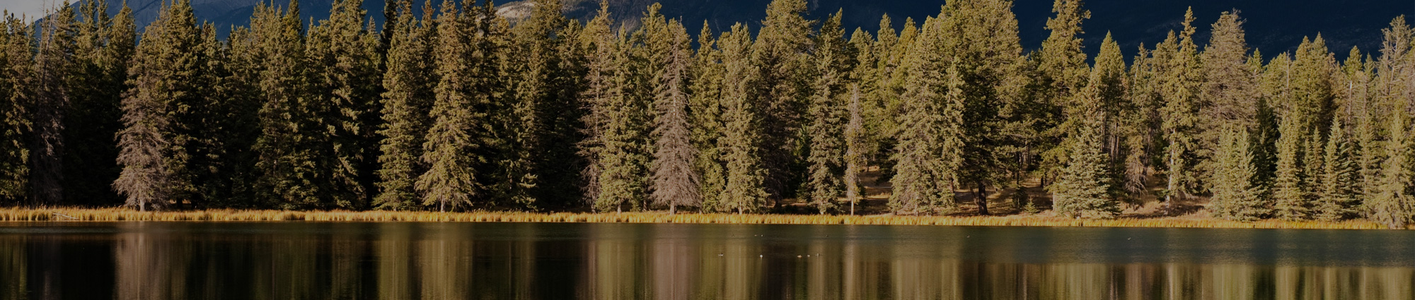 Background image Our Companies