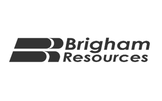 portfolioLogo_Brigham